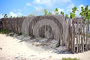 Fence made of tree branches, delimiting small properties, typical of the coast of northeastern Brazil. photo
